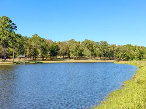View/Area - 8775 Old Highway 19, Trinity, TX 75862 photo 13 of 17