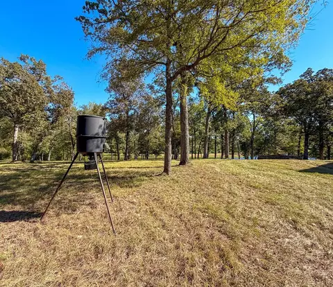 Exterior - 8775 Old Highway 19, Trinity, TX 75862 photo 5 of 8