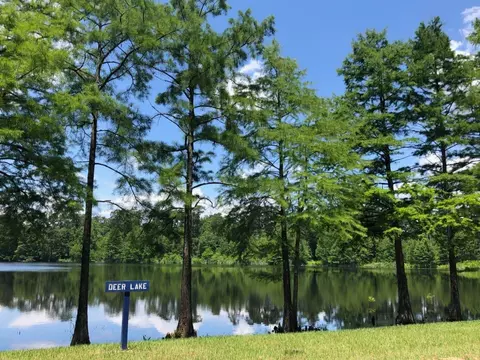 View/Area - 316 Silver Sage St, Conroe, TX 77304 photo 9 of 9