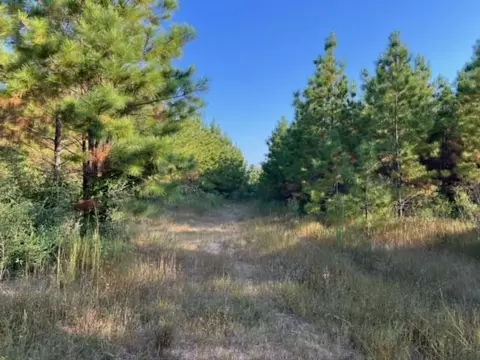 290 Red Holw, Livingston, TX 77351