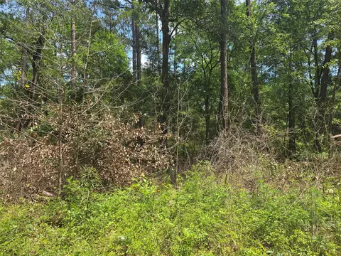 12949 Cedar Tree Ct, Plantersville, TX 77363