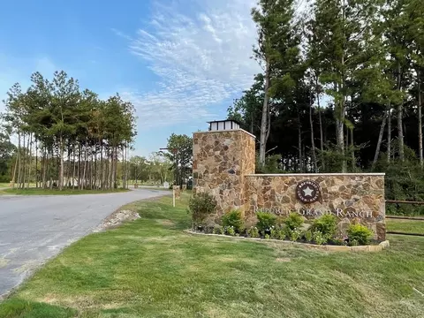 15685 Wood Grove Way, Willis, TX 77378