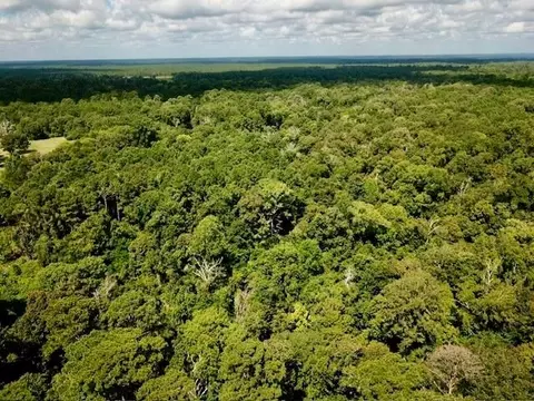 11 826- Acs Cr 4190, Woodville, TX 75979