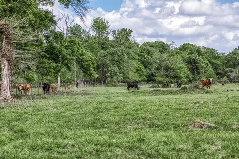 Other - tbd Henson Rd, Hempstead, TX 77445 photo 8 of 13