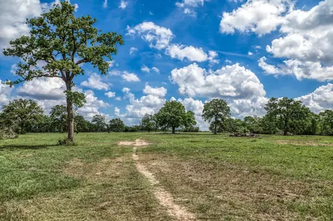 Other - tbd Henson Rd, Hempstead, TX 77445 photo 9 of 13