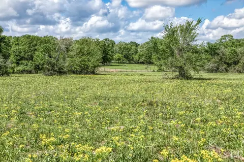 Other - tbd Henson Rd, Hempstead, TX 77445 photo 6 of 13