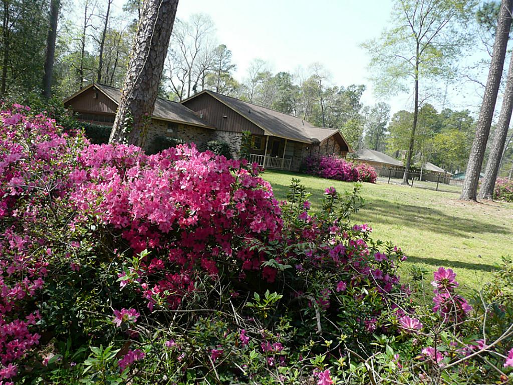 2222 Old Ox Rd, Spring, TX 77386 photo 1