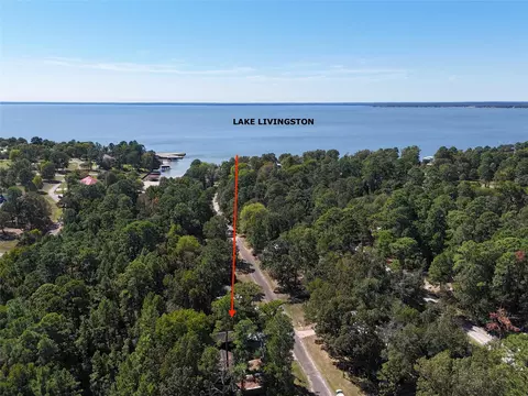 View/Area - 458 Rain Forest Rd, Onalaska, TX 77360 photo 3 of 8
