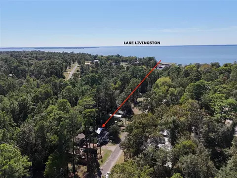 View/Area - 458 Rain Forest Rd, Onalaska, TX 77360 photo 4 of 8