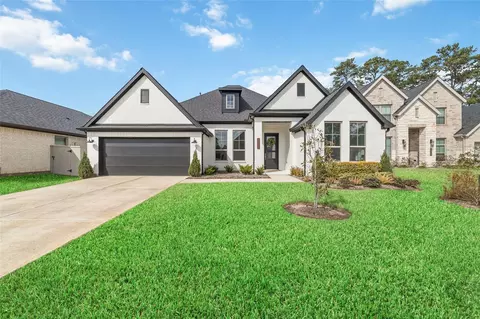 15208 Tree Swallow Ct, Magnolia, TX 77354