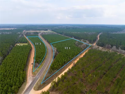 2 Menard Chapel Rd, Livingston, TX 77351