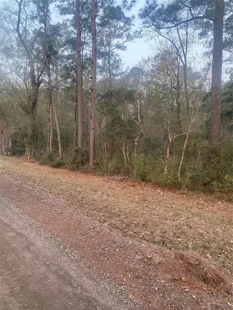 tbd Hill Creek Dr, Coldspring, TX 77331