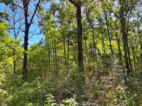 tbd I-45 West Feeder Rd, Centerville, TX 75833 photo 2