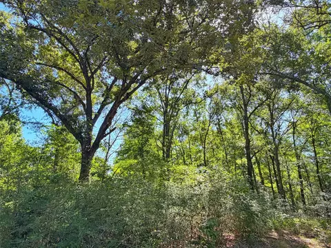 tbd I-45 West Feeder Rd, Centerville, TX 75833 photo 10