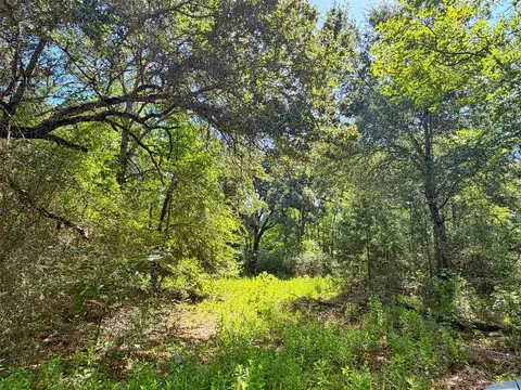 tbd I-45 West Feeder Rd, Centerville, TX 75833 photo 12