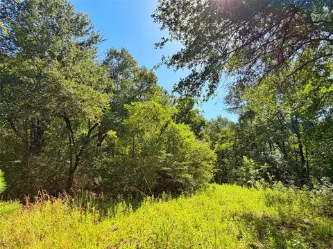 tbd I-45 West Feeder Rd, Centerville, TX 75833 photo 13