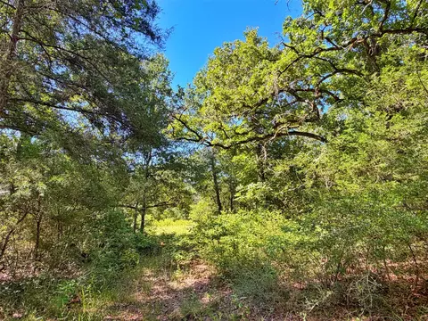 tbd I-45 West Feeder Rd, Centerville, TX 75833 photo 11