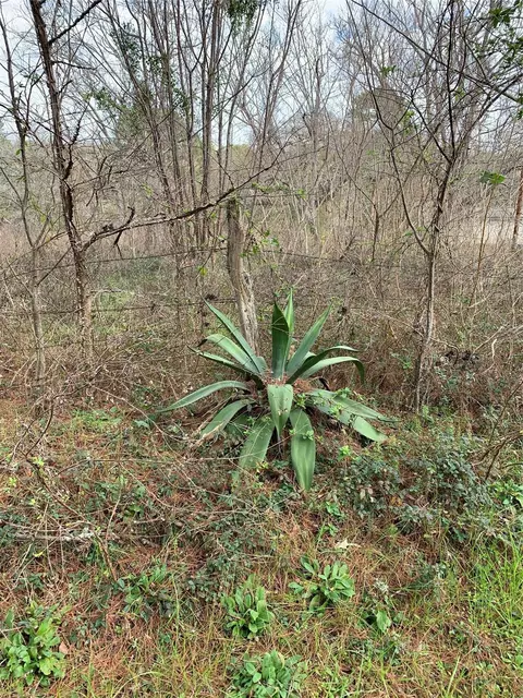 373 Johnson Rd, Huntsville, TX 77320