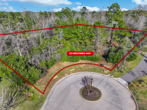 123 Mediterra Way, Spring, TX 77389 photo 9