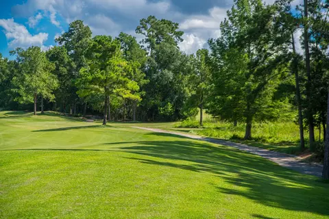 123 Mediterra Way, Spring, TX 77389 photo 29