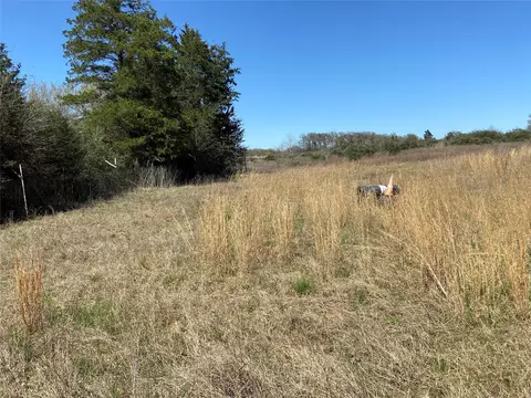 Other - 1111 Luu Rd, Calvert, TX 77837 photo 5 of 10