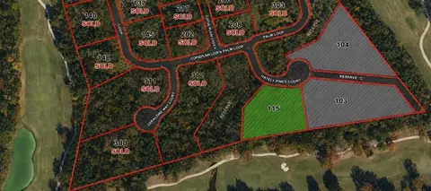 115 Chateau Pines Ct, Montgomery, TX 77316