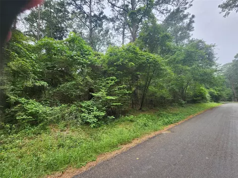 207 Long King, Livingston, TX 77351