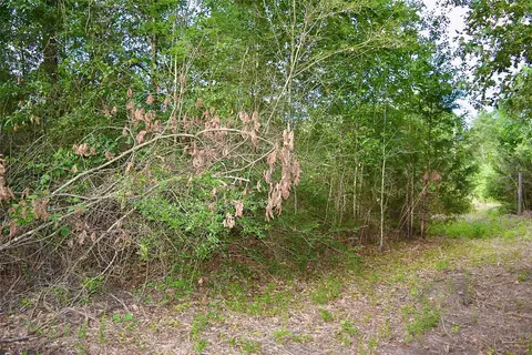 tbd Sharp Rd, Montgomery, TX 77356 photo 9