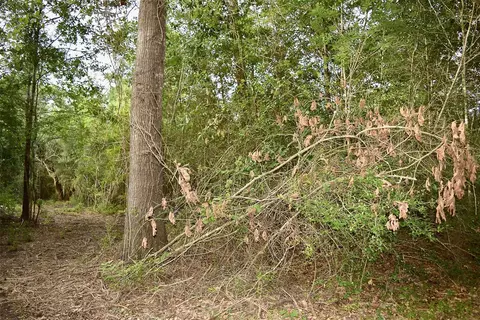 tbd Sharp Rd, Montgomery, TX 77356 photo 8