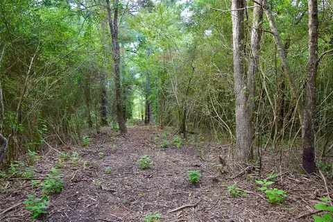 tbd Sharp Rd, Montgomery, TX 77356 photo 11