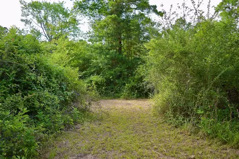 tbd Sharp Rd, Montgomery, TX 77356 photo 15