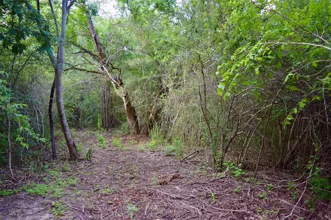 tbd Sharp Rd, Montgomery, TX 77356 photo 10