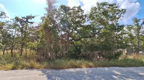 406 Choctaw Crst, Somerville, TX 77879