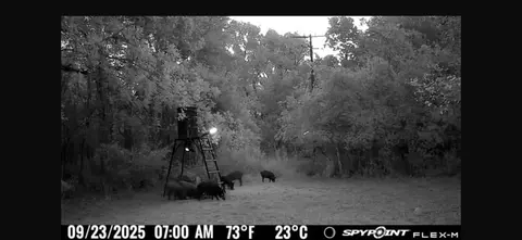 00 Fm 671, Luling, TX 78648 photo 23