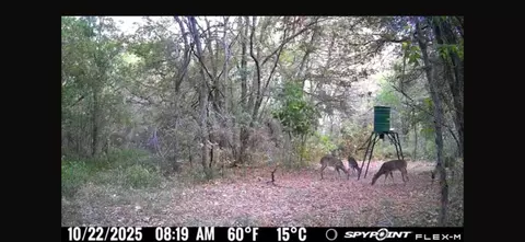 00 Fm 671, Luling, TX 78648 photo 22
