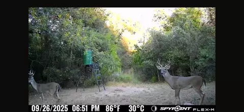 00 Fm 671, Luling, TX 78648 photo 24