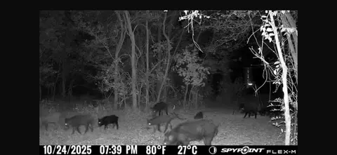 00 Fm 671, Luling, TX 78648 photo 25