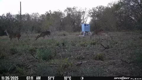 00 Fm 671, Luling, TX 78648 photo 26