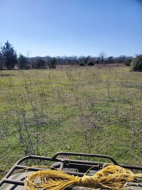 000 Fm 1774, Plantersville, TX 77363