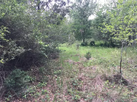 0 Donoho St, Hempstead, TX 77445 photo 5