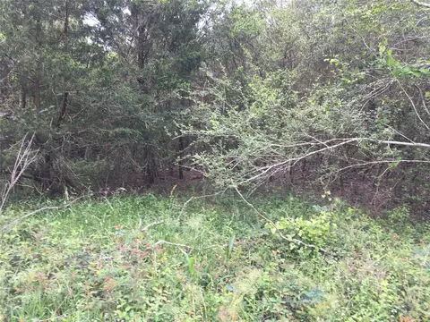 0 Donoho St, Hempstead, TX 77445 photo 2