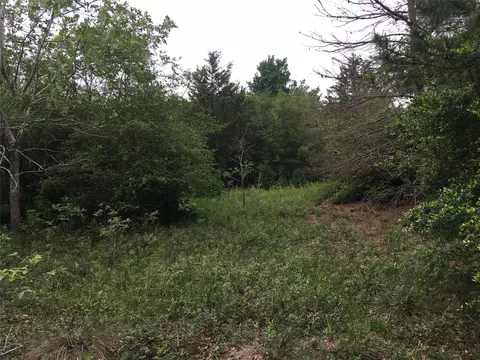 0 Donoho St, Hempstead, TX 77445 photo 3