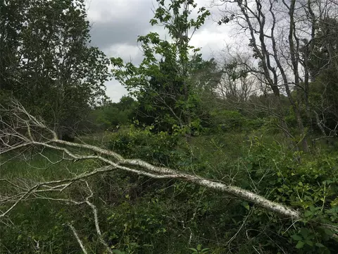 0 Donoho St, Hempstead, TX 77445 photo 4