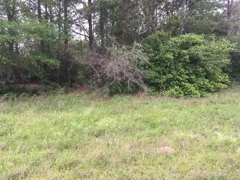 0 Donoho St, Hempstead, TX 77445 photo 6