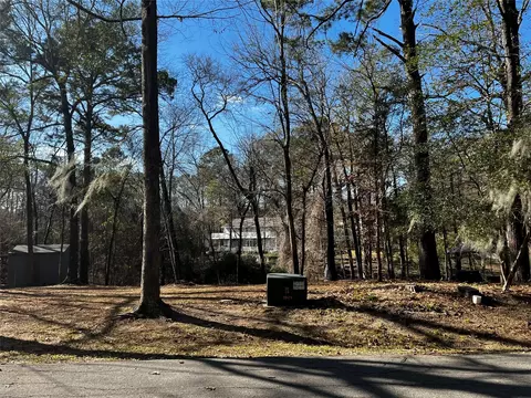 19 Clearwater Cir, Coldspring, TX 77331 photo 1