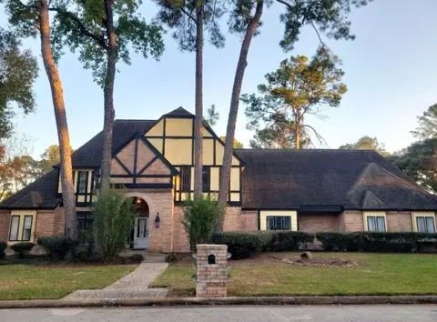9911 Oxted Ln, Spring, TX 77379