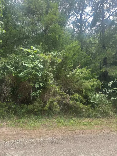 tbd Cedar Valley Dr, Coldspring, TX 77331
