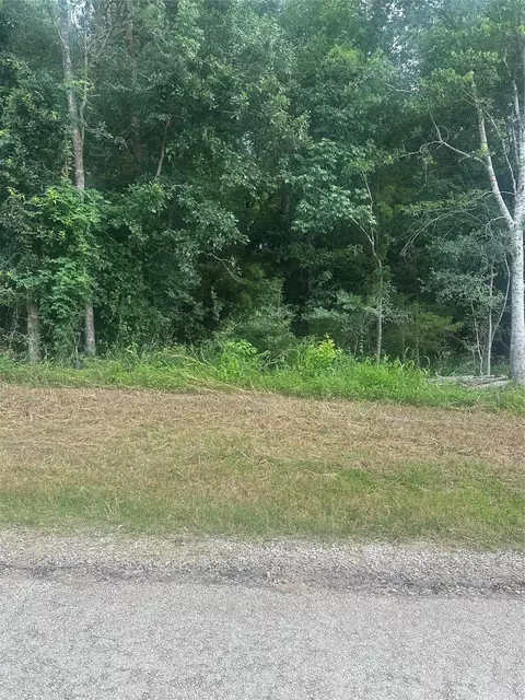 tbd Cedar Valley Dr, Coldspring, TX 77331 photo 10