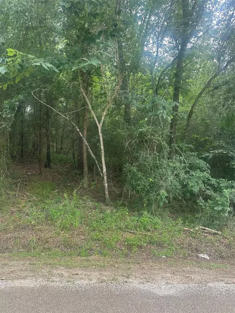 tbd Cedar Valley Dr, Coldspring, TX 77331 photo 5