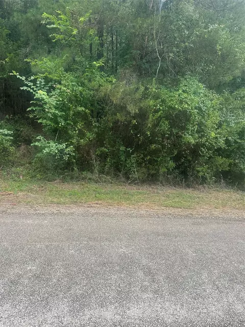 tbd Cedar Valley Dr, Coldspring, TX 77331 photo 2